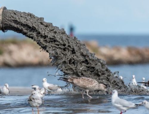 Why are the Canadians, Australians, Emiratis, Qataris, Norwegians and Chinese dumping sewage into Britains waterways?