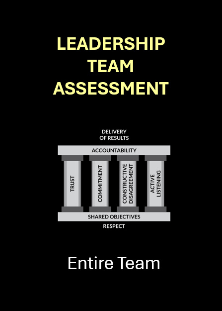 Assessment icon – leadership team